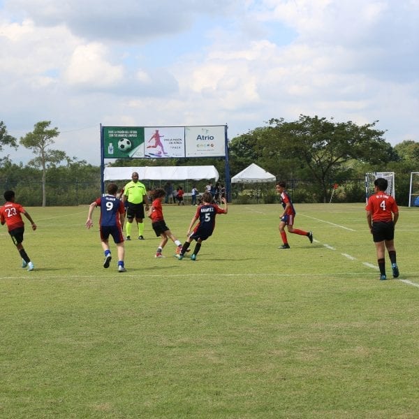 VI Ashton Cup